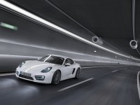 Porsche Cayman 2013 photo